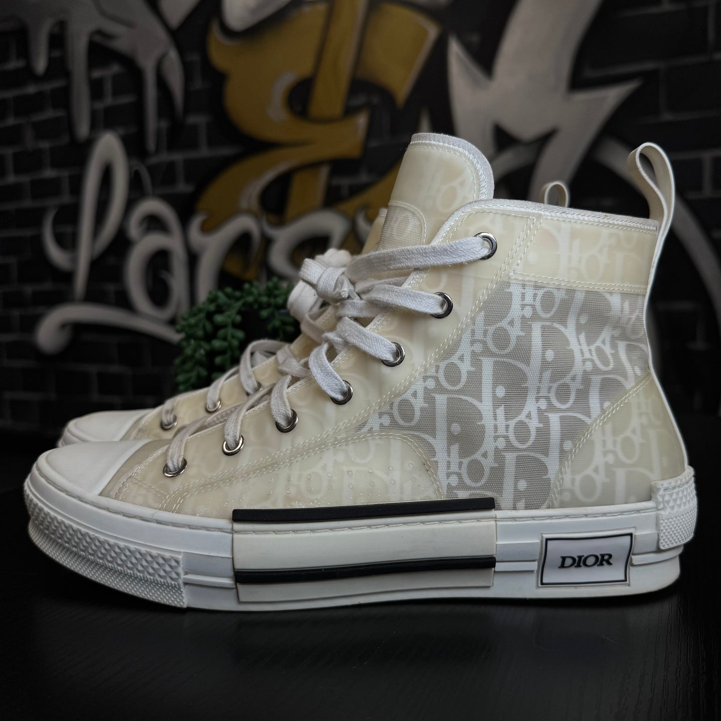 Dior B23 High White