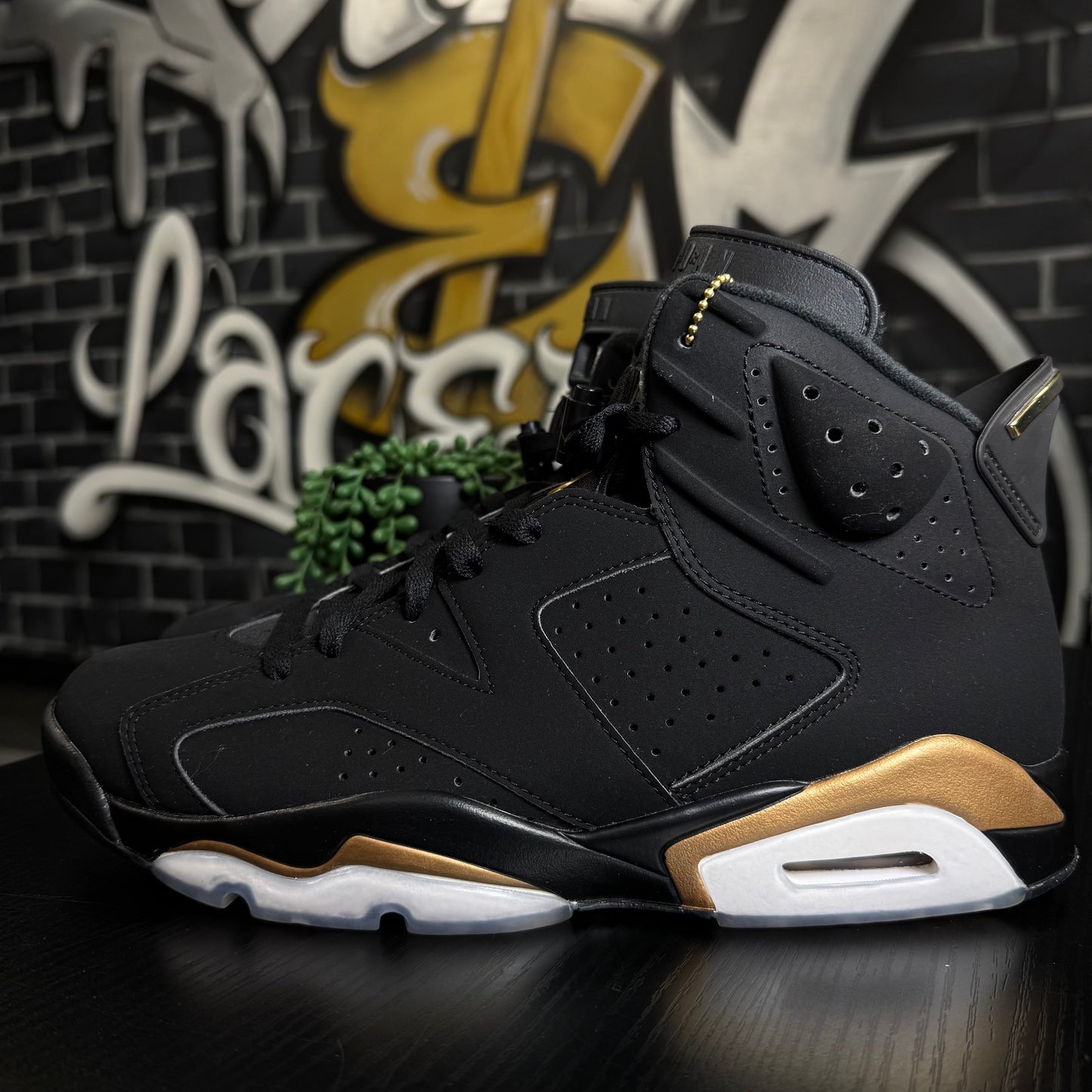 Jordan 6 DMP (2020)