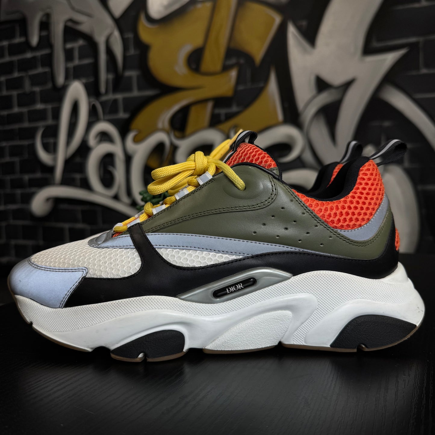 Dior B22 Peter Doig Olive