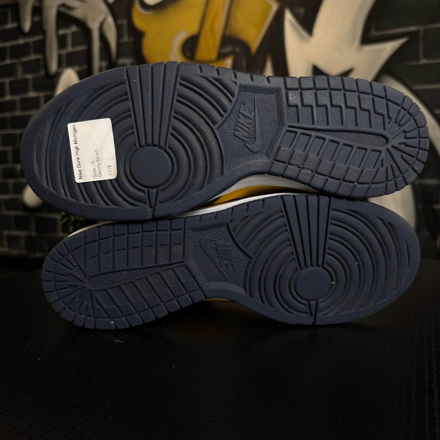 Nike Dunk High Michigan