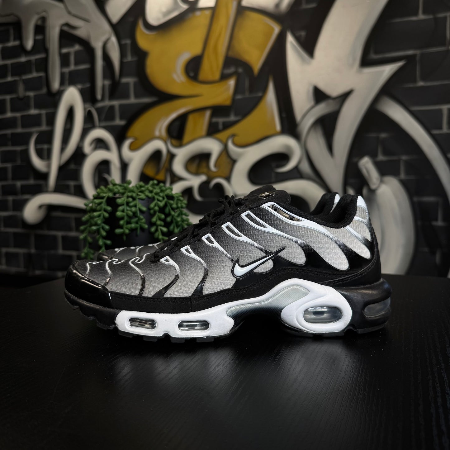 Nike Air Max Plus TN Silver