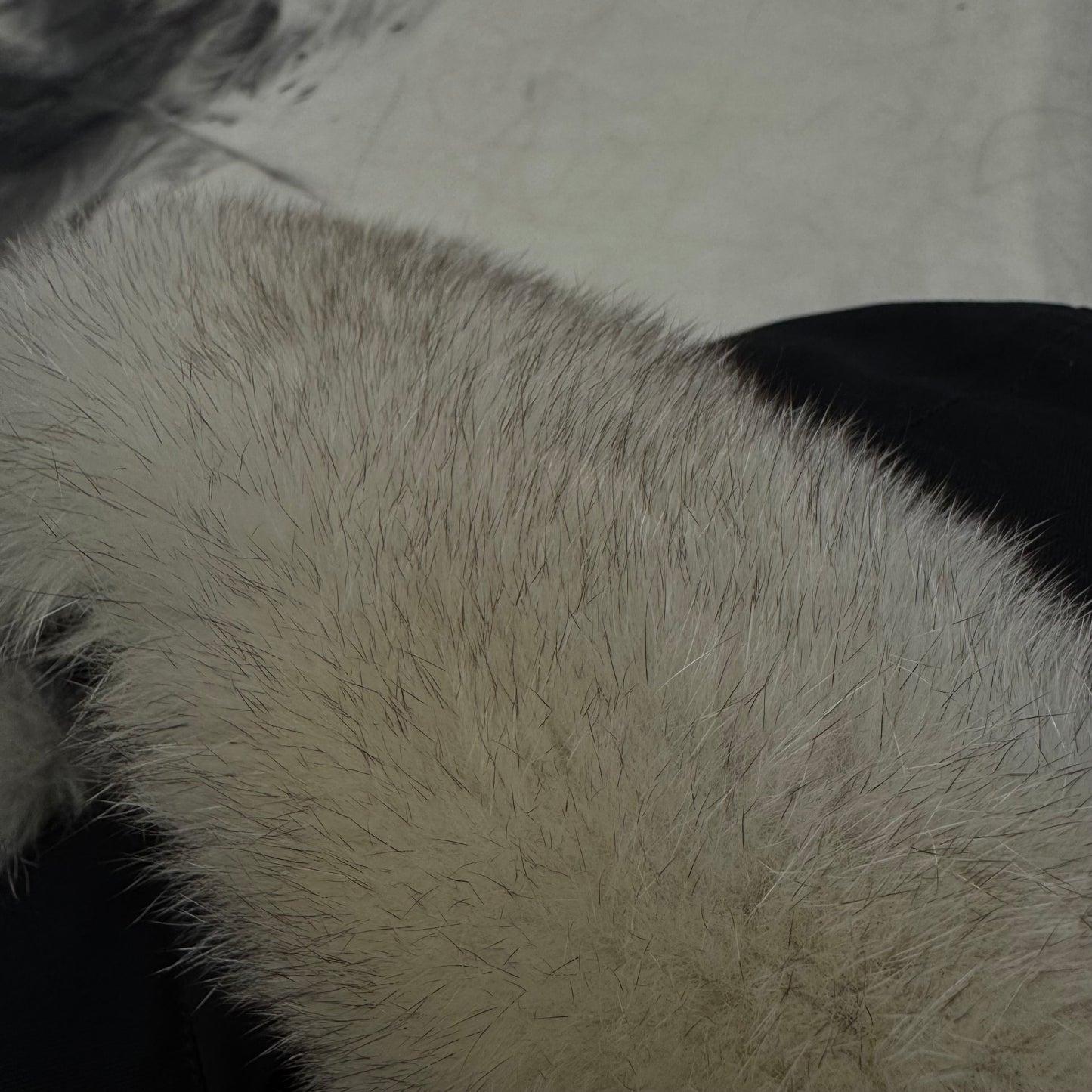 Moose Knuckles Ballistic Bomber Jacket Black