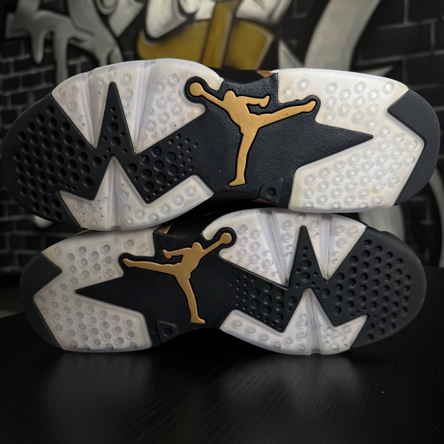 Jordan 6 DMP (2020)