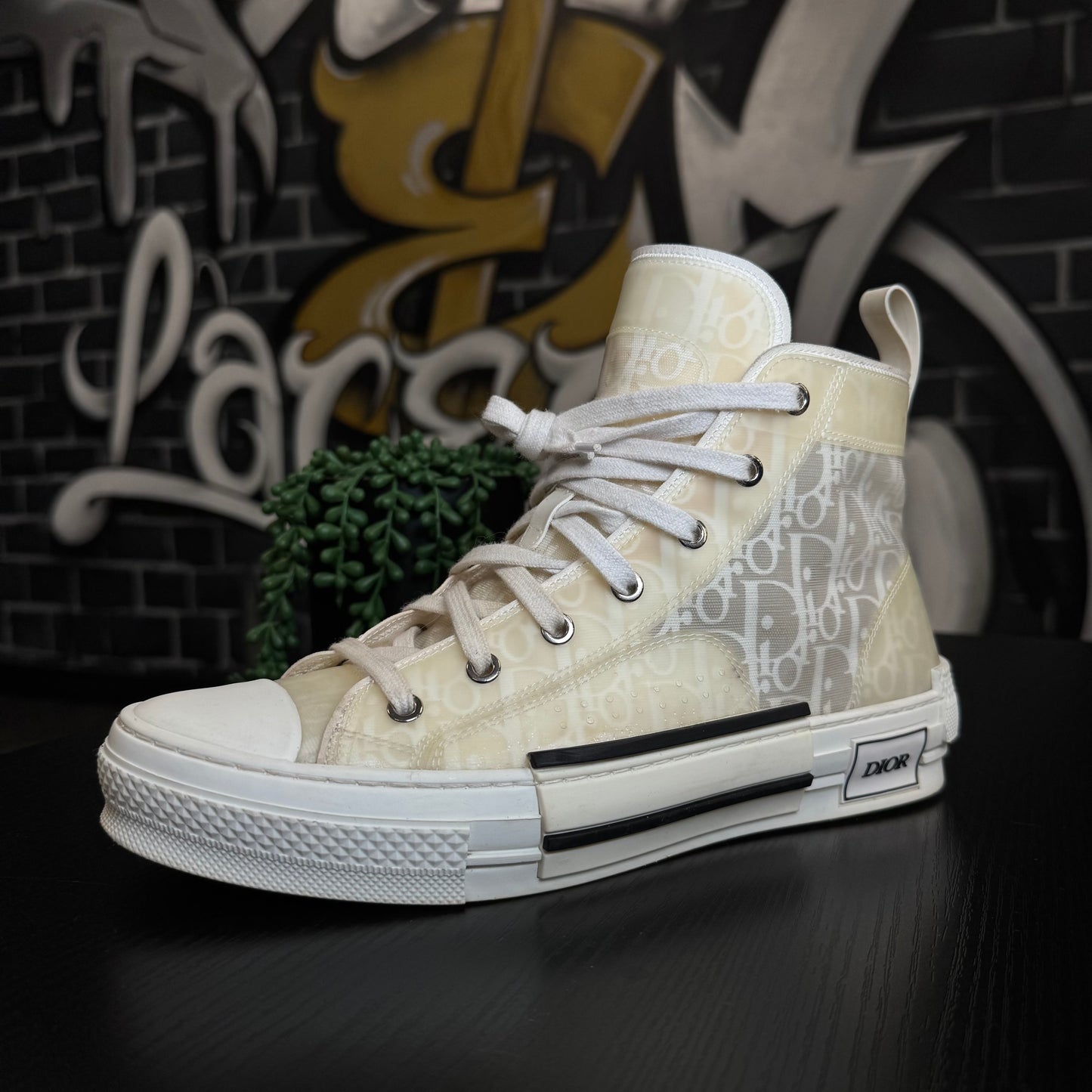Dior B23 High White