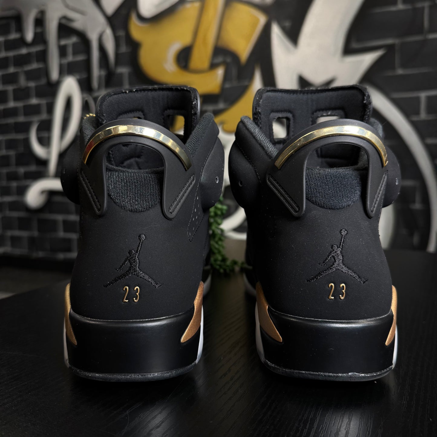 Jordan 6 DMP (2020)