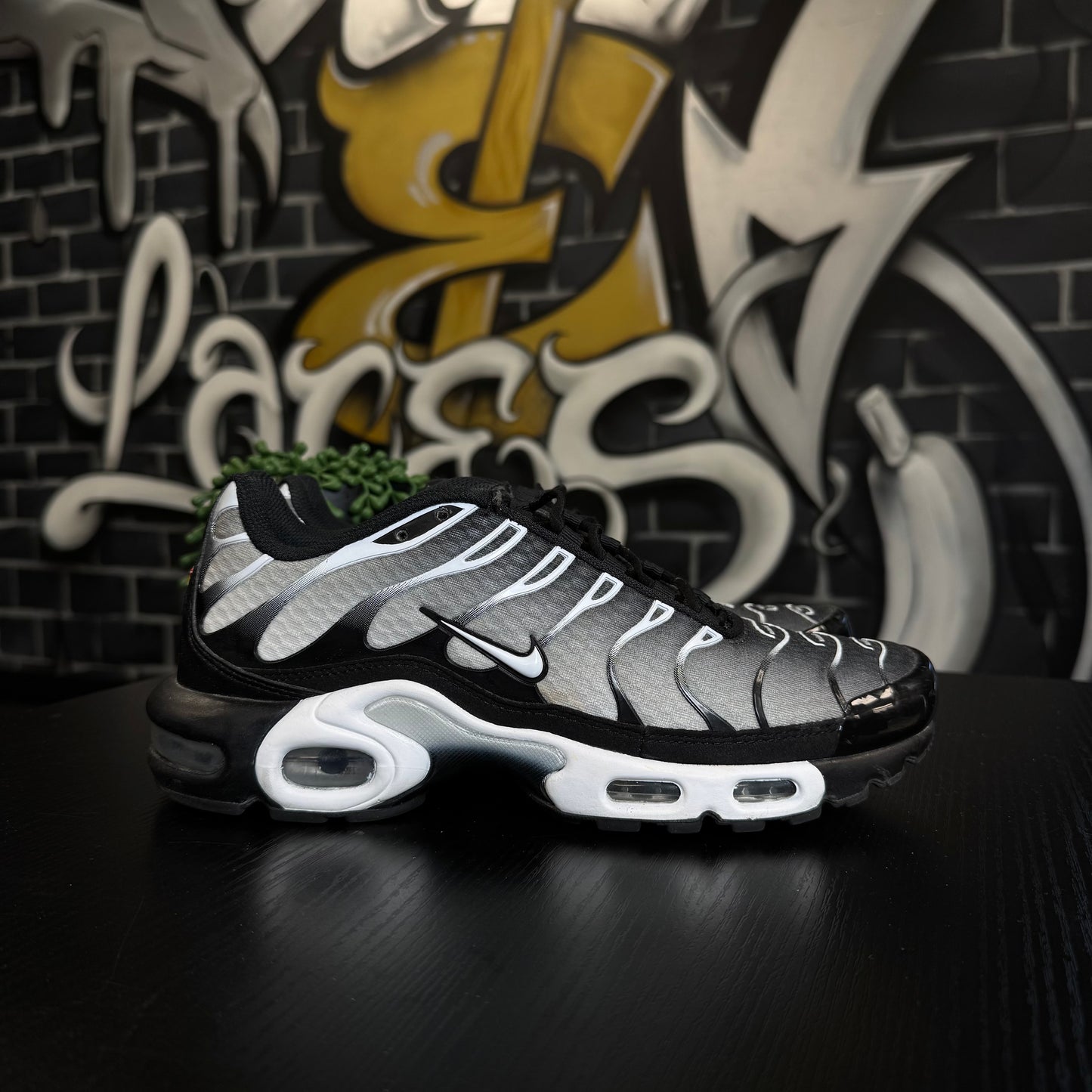 Nike Air Max Plus TN Silver