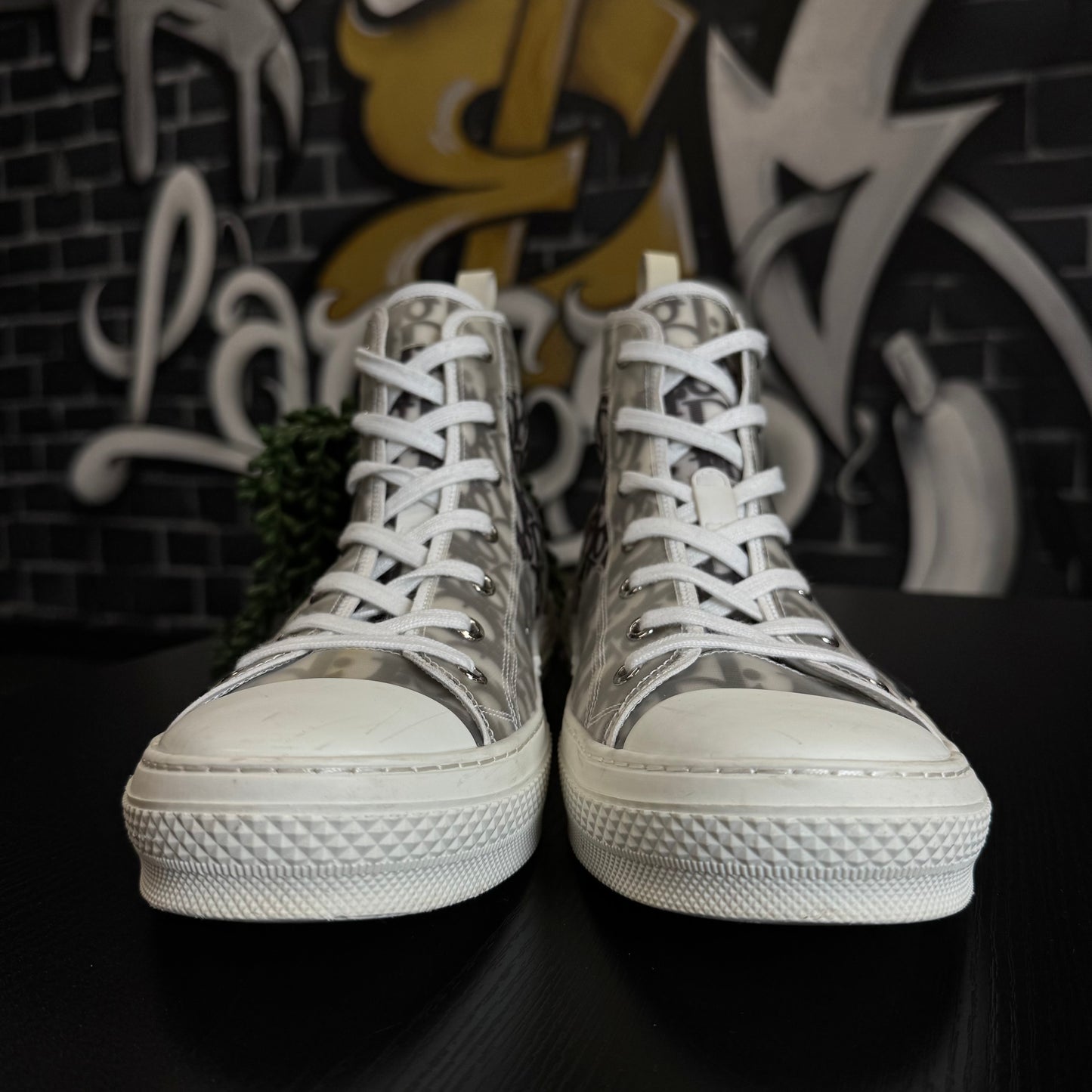 Dior B23 High OG Oblique