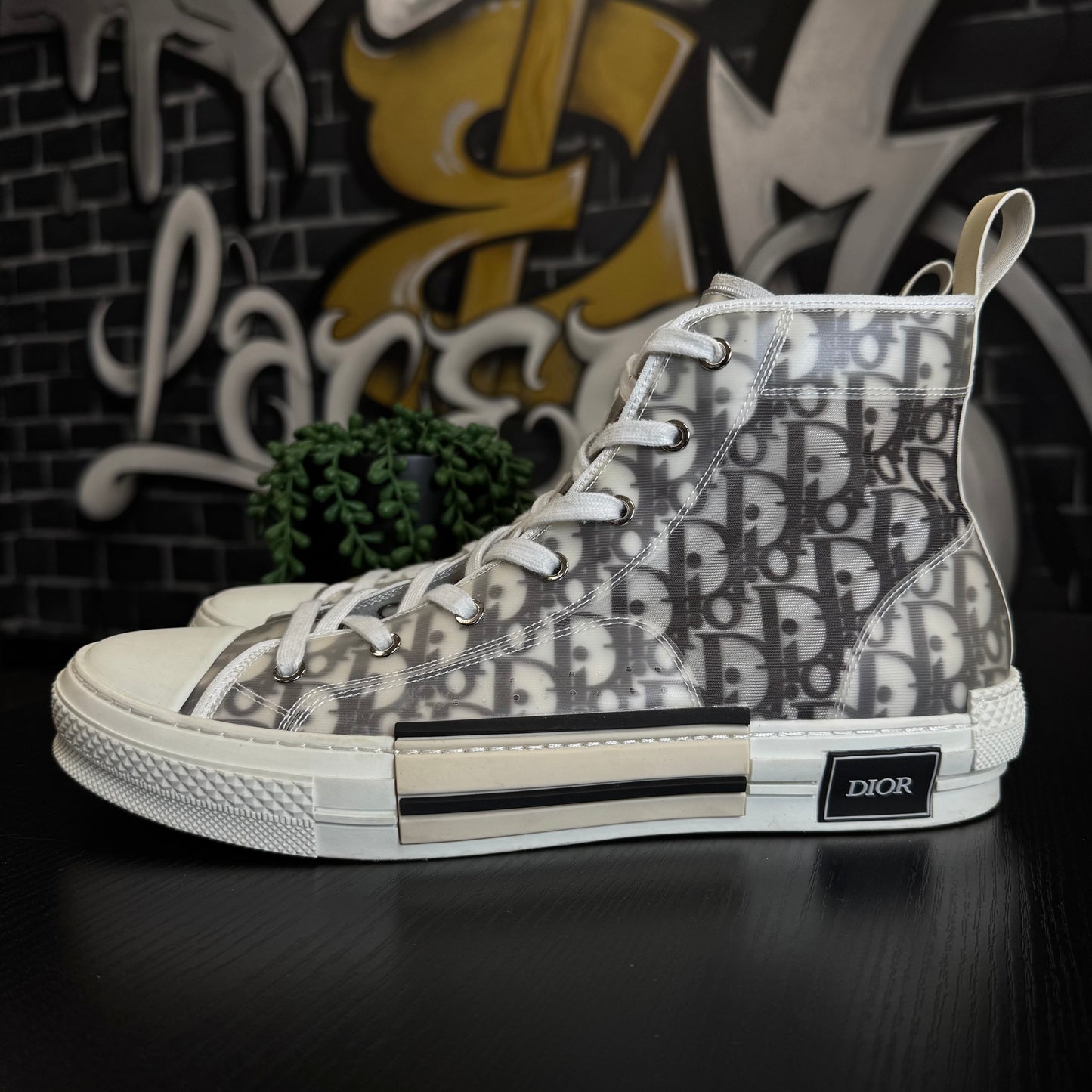 Dior B23 High OG Oblique