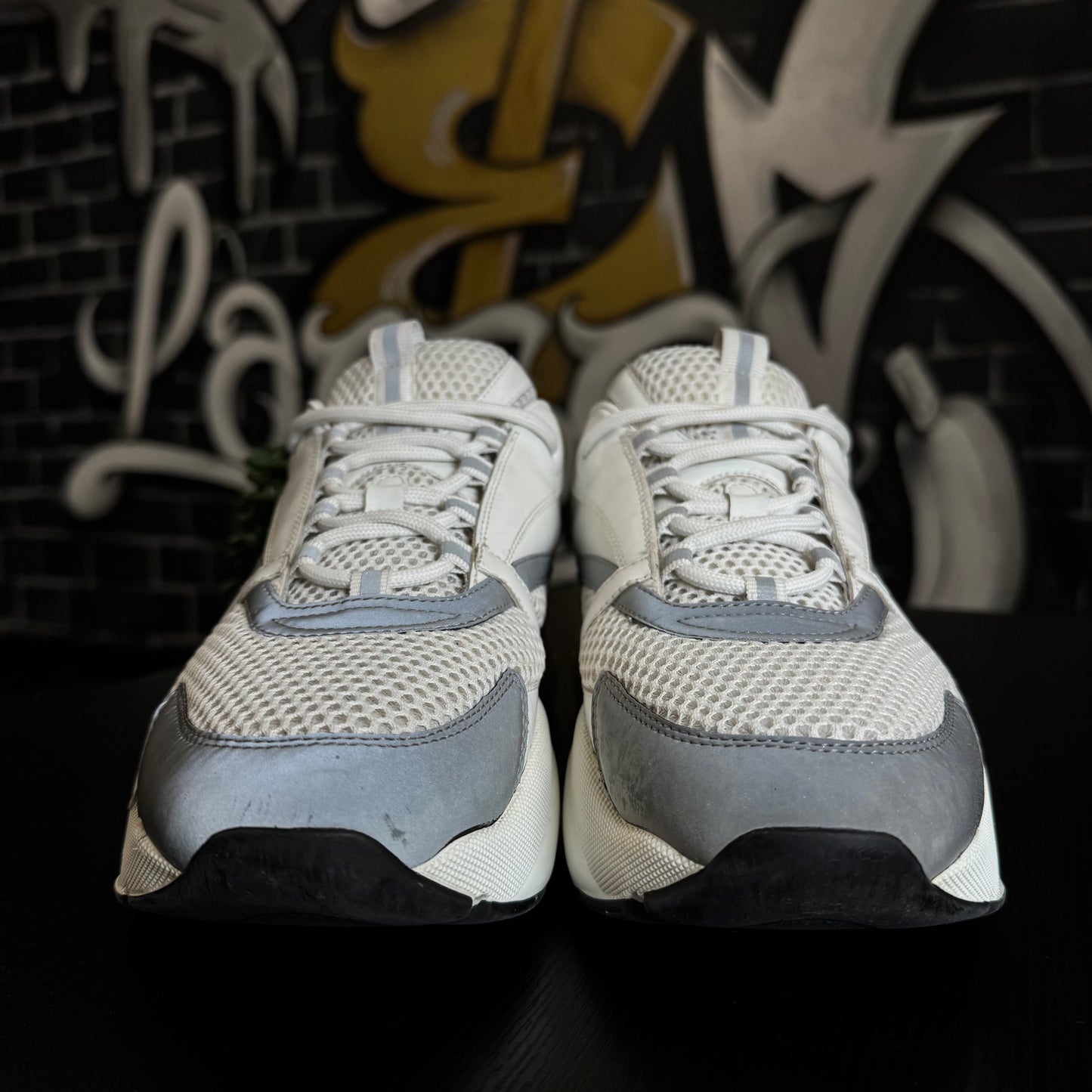 Dior B22 White/Silver