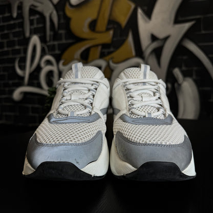 Dior B22 White/Silver