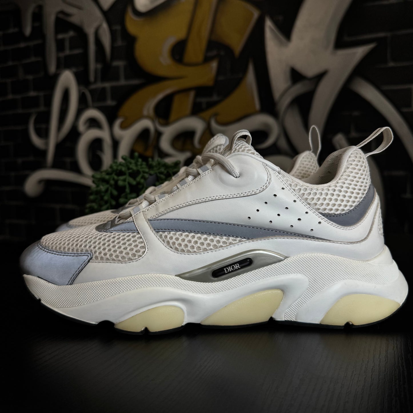 Dior B22 White/Silver