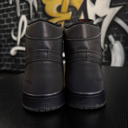 Jordan 1 High Zoom Fearless