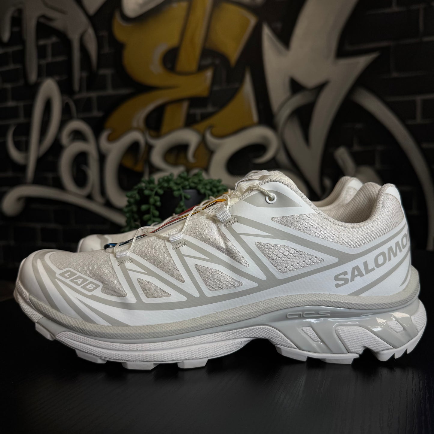 Salomon XT-6 White