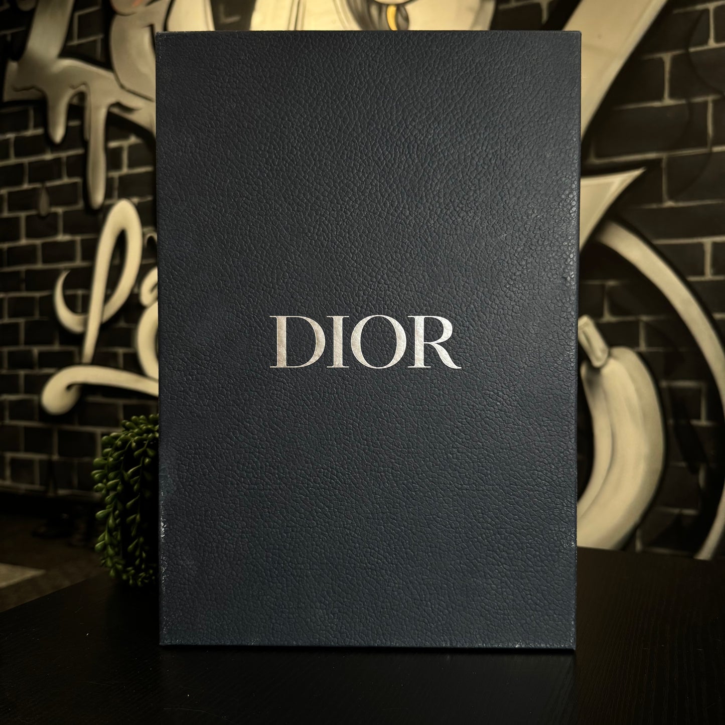 Dior Sahara Criss Cross Oblique Sandals