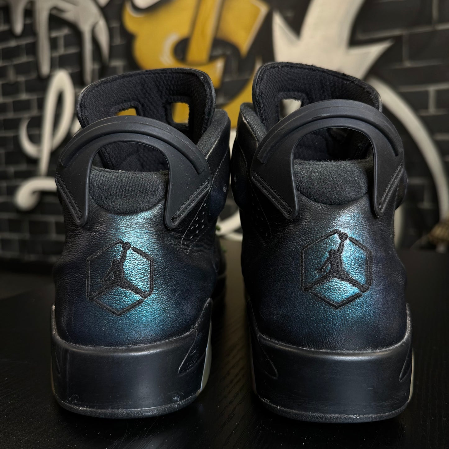 Jordan 6 All Star Chameleon (2017)