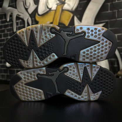 Jordan 6 All Star Chameleon (2017)