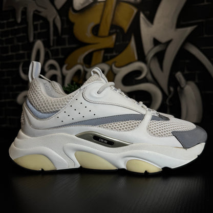 Dior B22 White/Silver