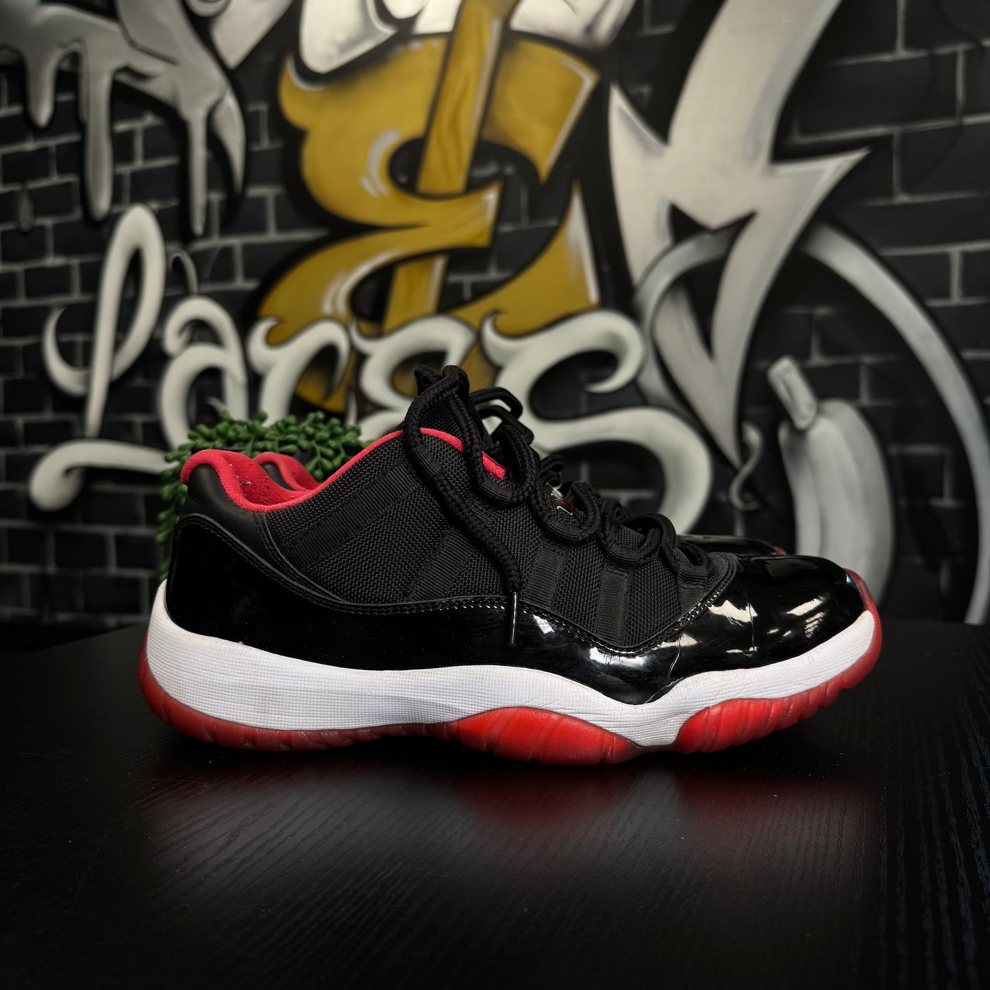 Jordan 11 Low Bred