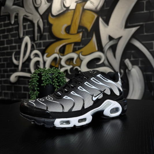 Nike Air Max Plus TN Silver