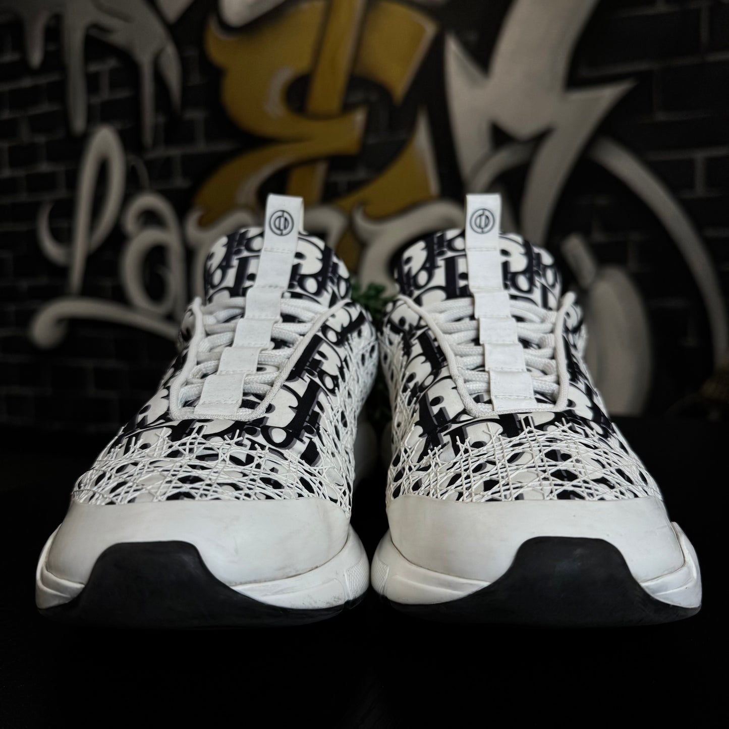 Dior B24 Oblique White Black