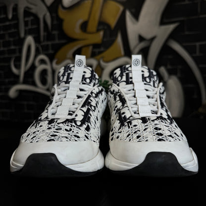 Dior B24 Oblique White Black