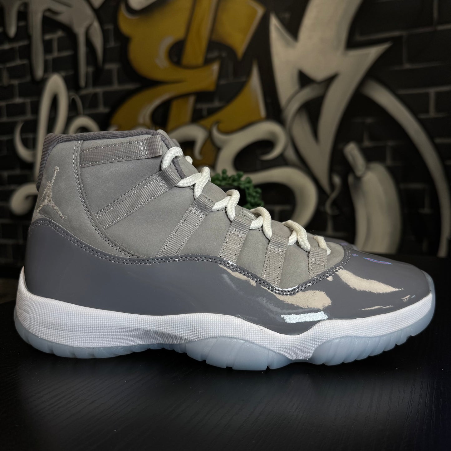Jordan 11 Cool Grey (2021)