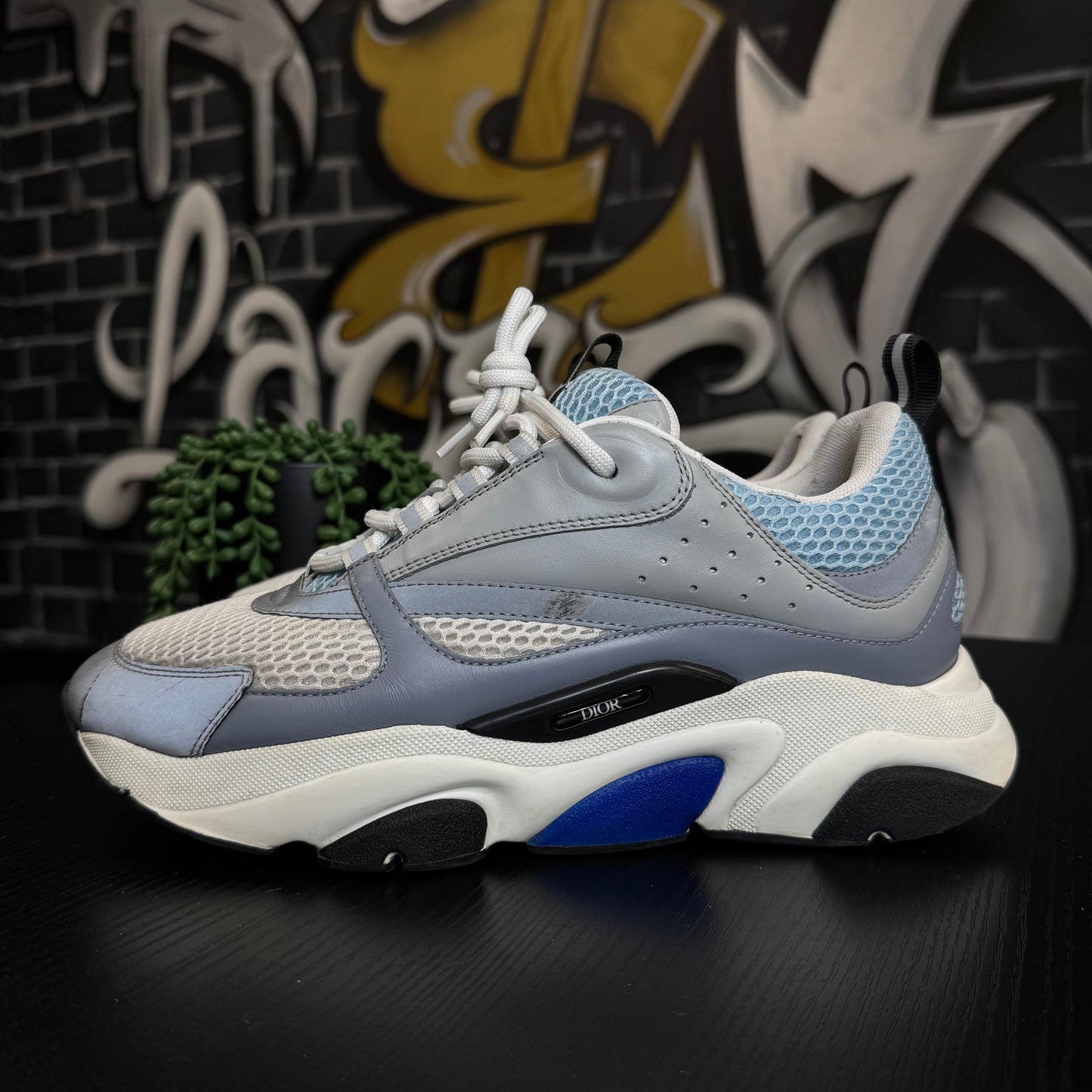 Dior B22 Grey/Blue
