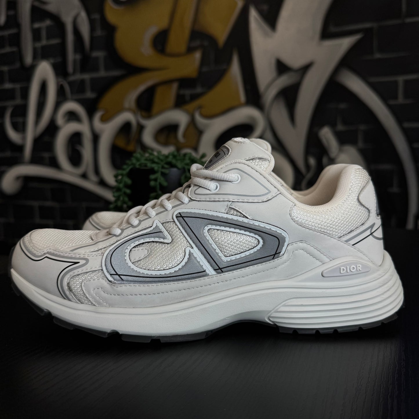Dior B30 White/Silver