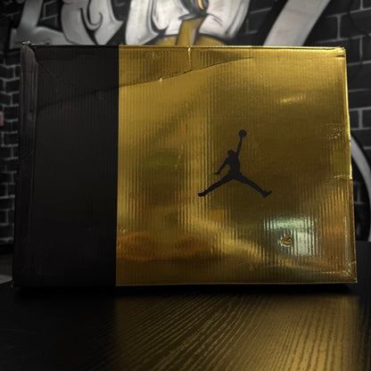 Jordan 6 DMP (2020)