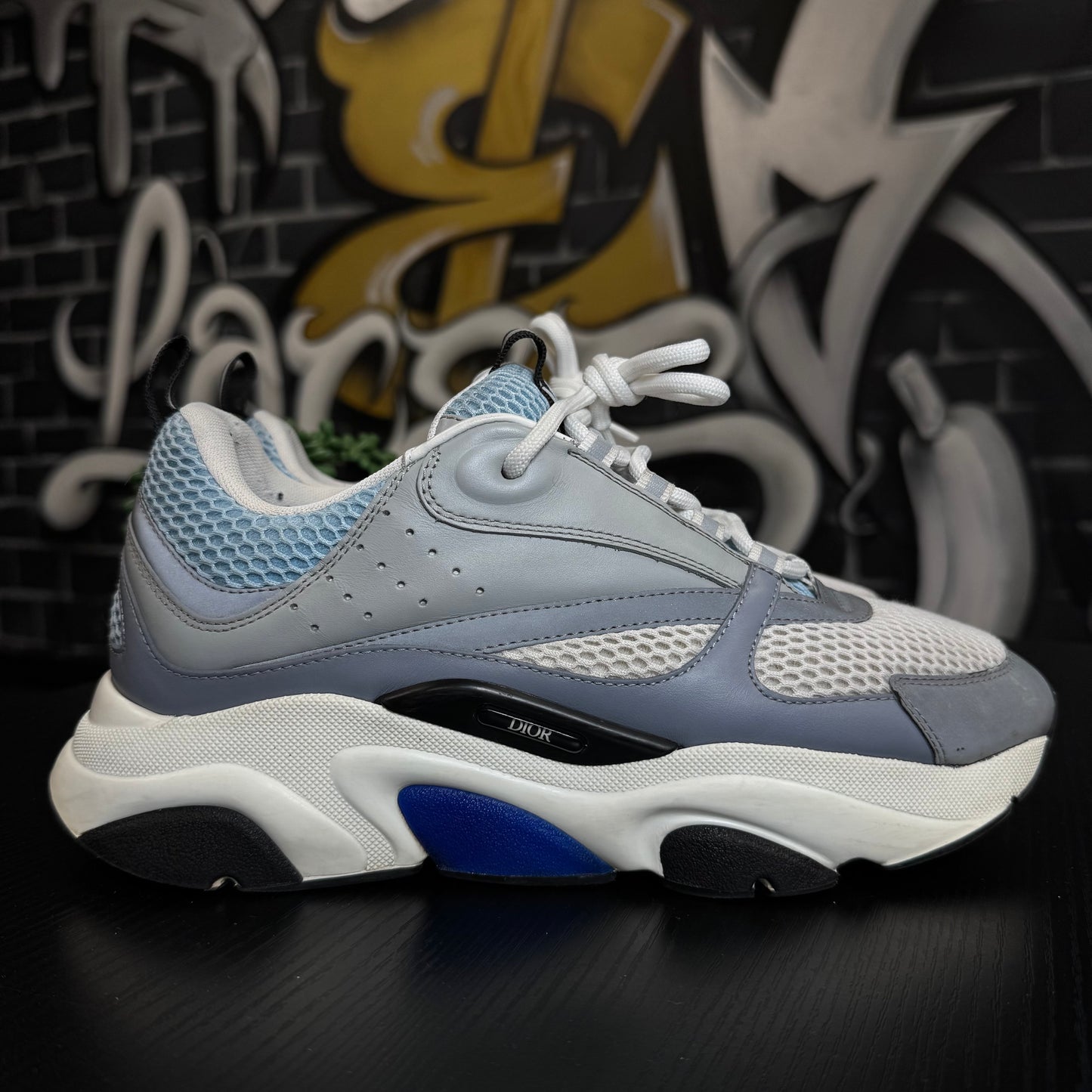 Dior B22 Grey/Blue