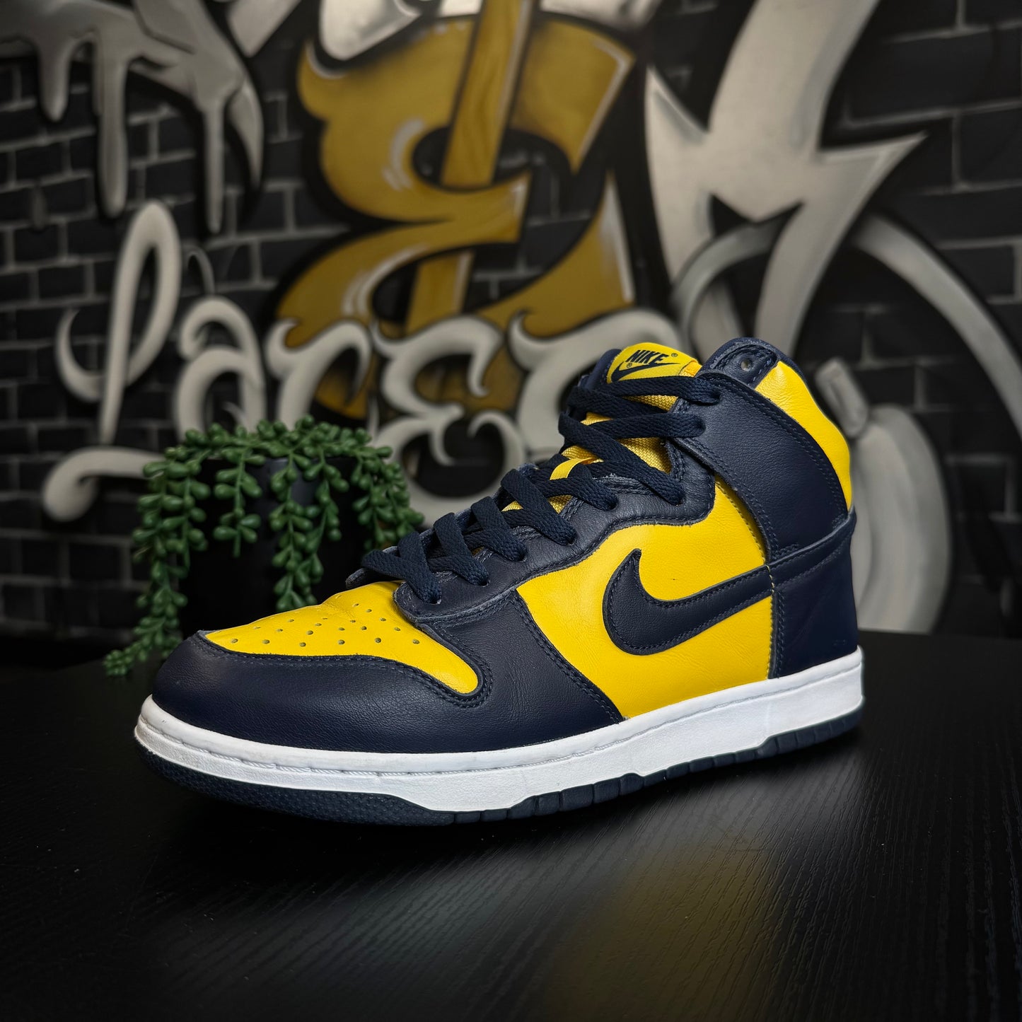 Nike Dunk High Michigan