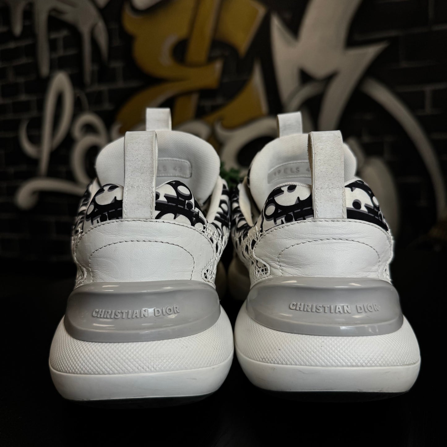 Dior B24 Oblique White Black