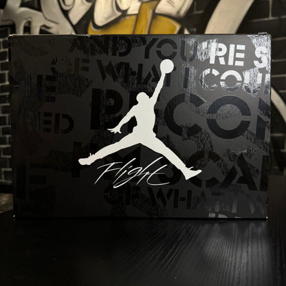 Jordan 4 Fear (2024)