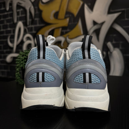 Dior B22 Grey/Blue