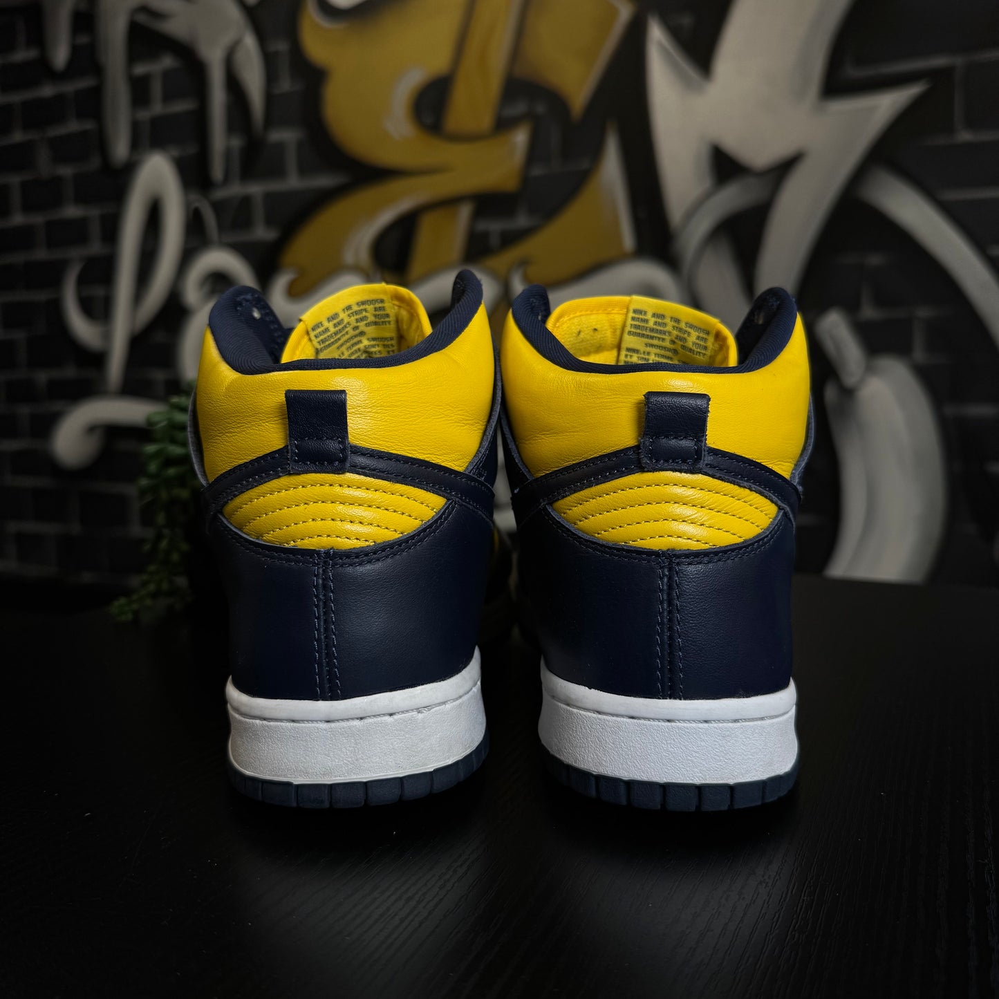 Nike Dunk High Michigan