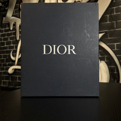 Dior B23 High OG Oblique