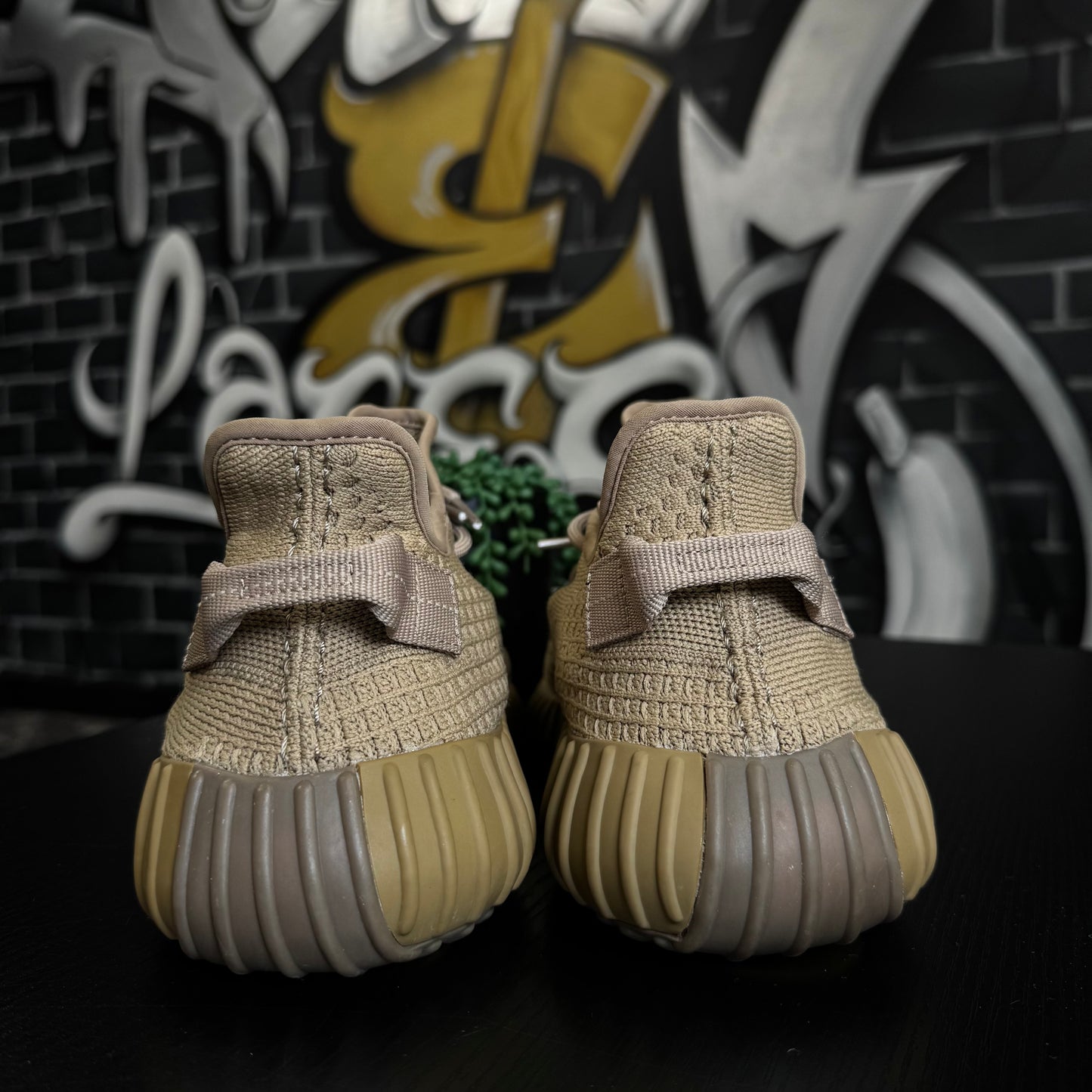 Yeezy 350 V2 Earth