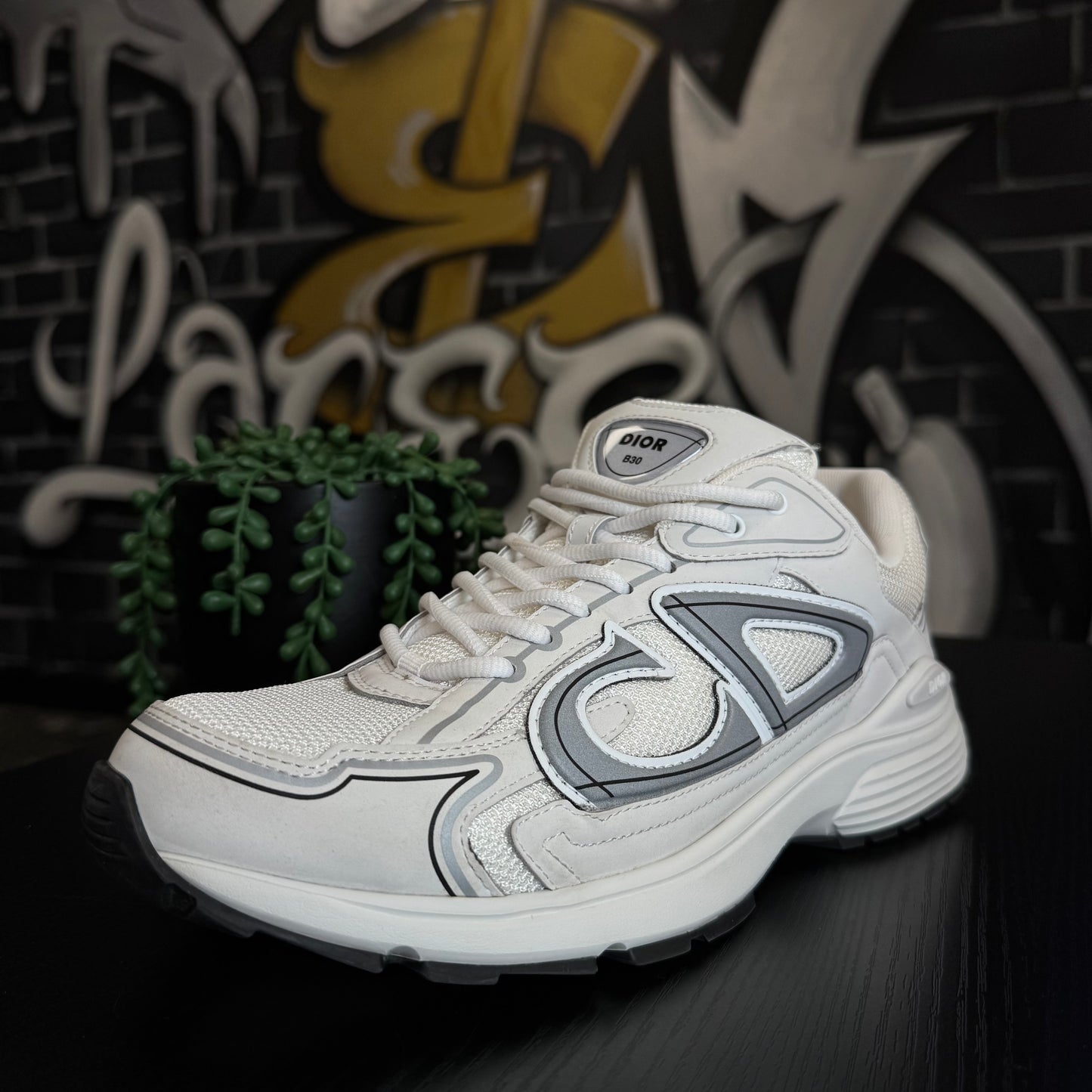 Dior B30 White/Silver