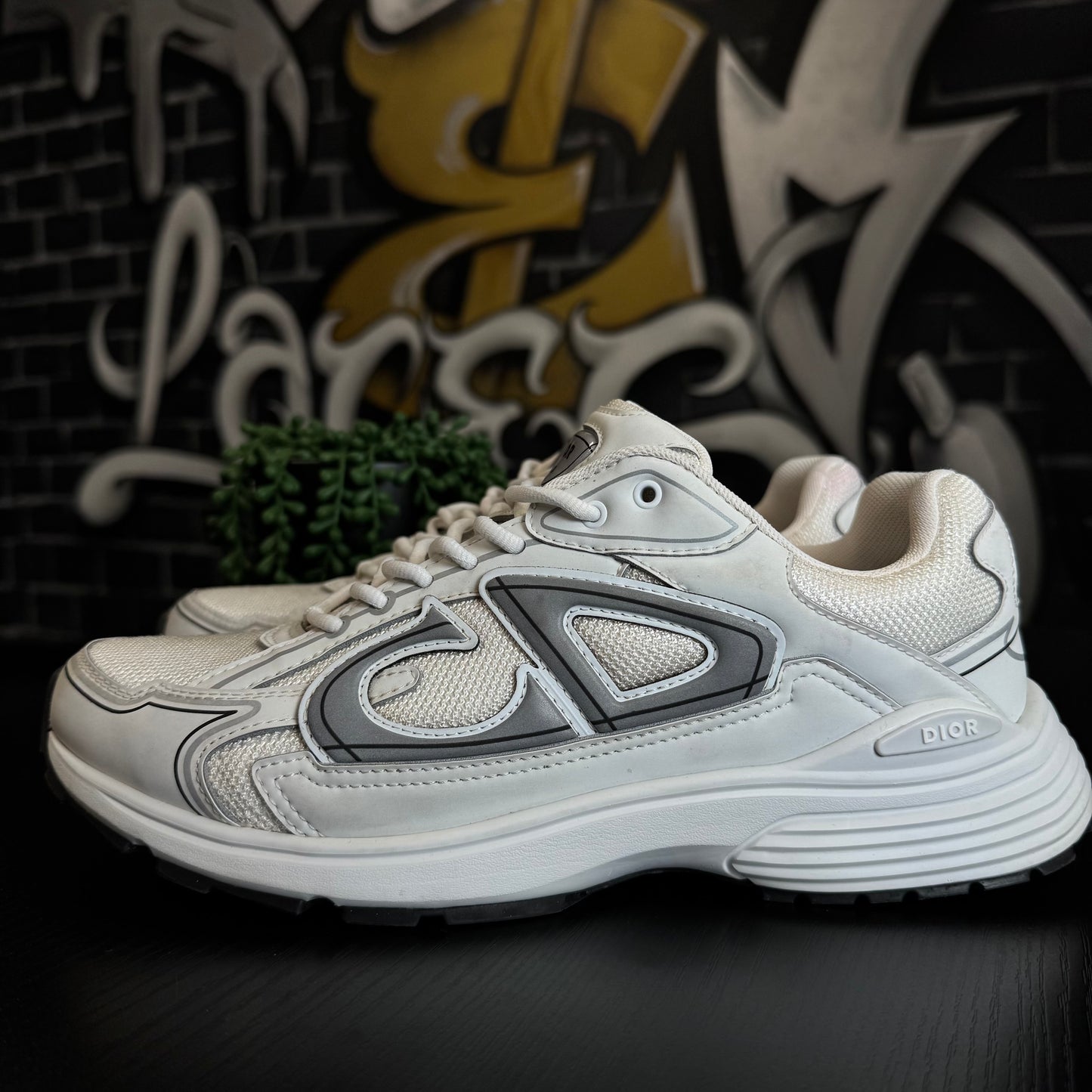 Dior B30 White/Grey