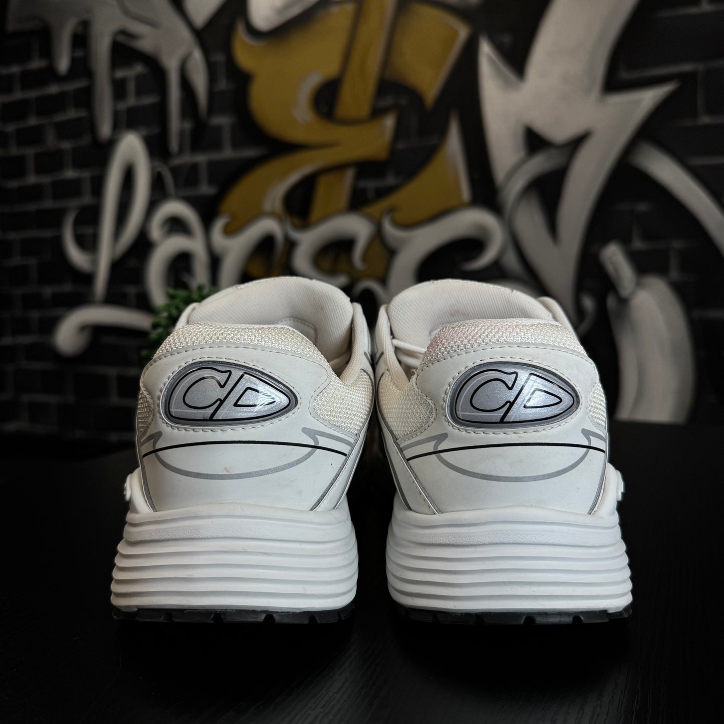 Dior B30 White/Grey