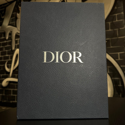 Dior B30 White/Silver