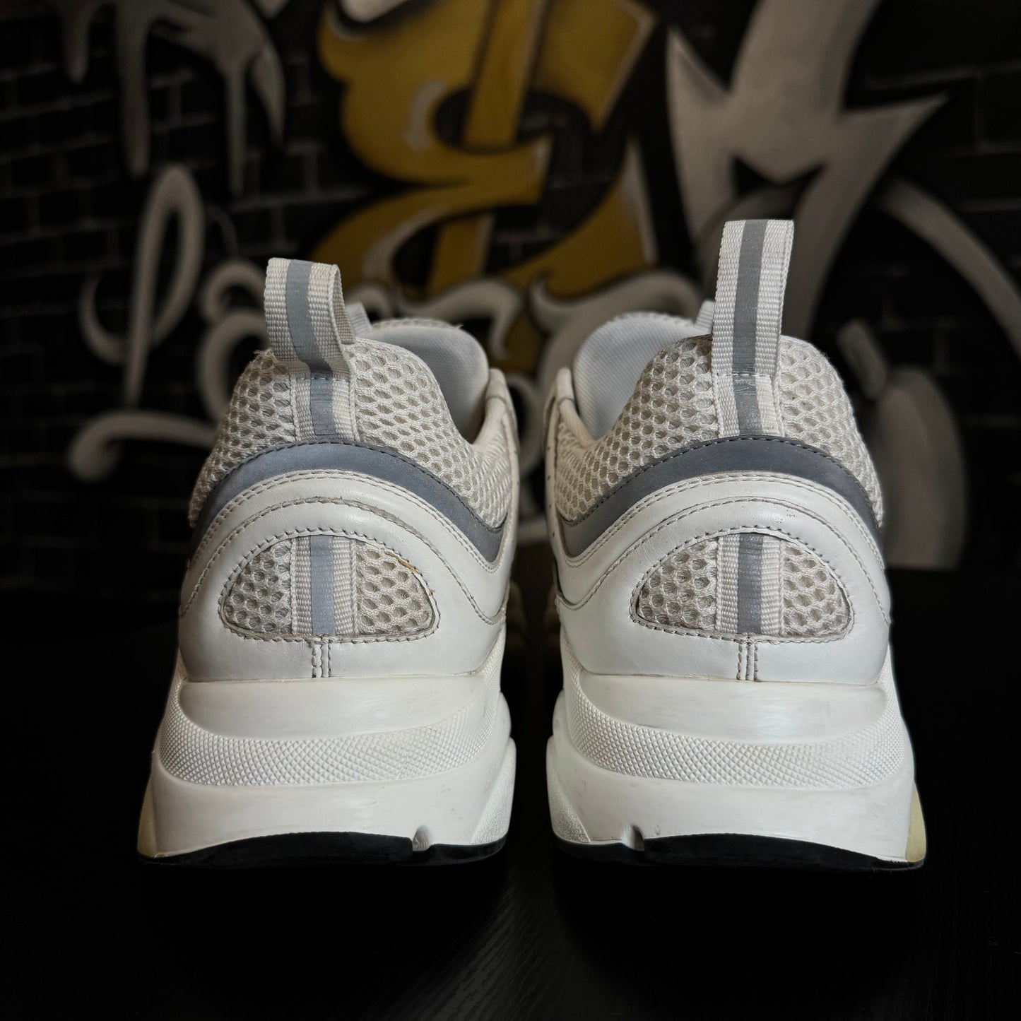 Dior B22 White/Silver
