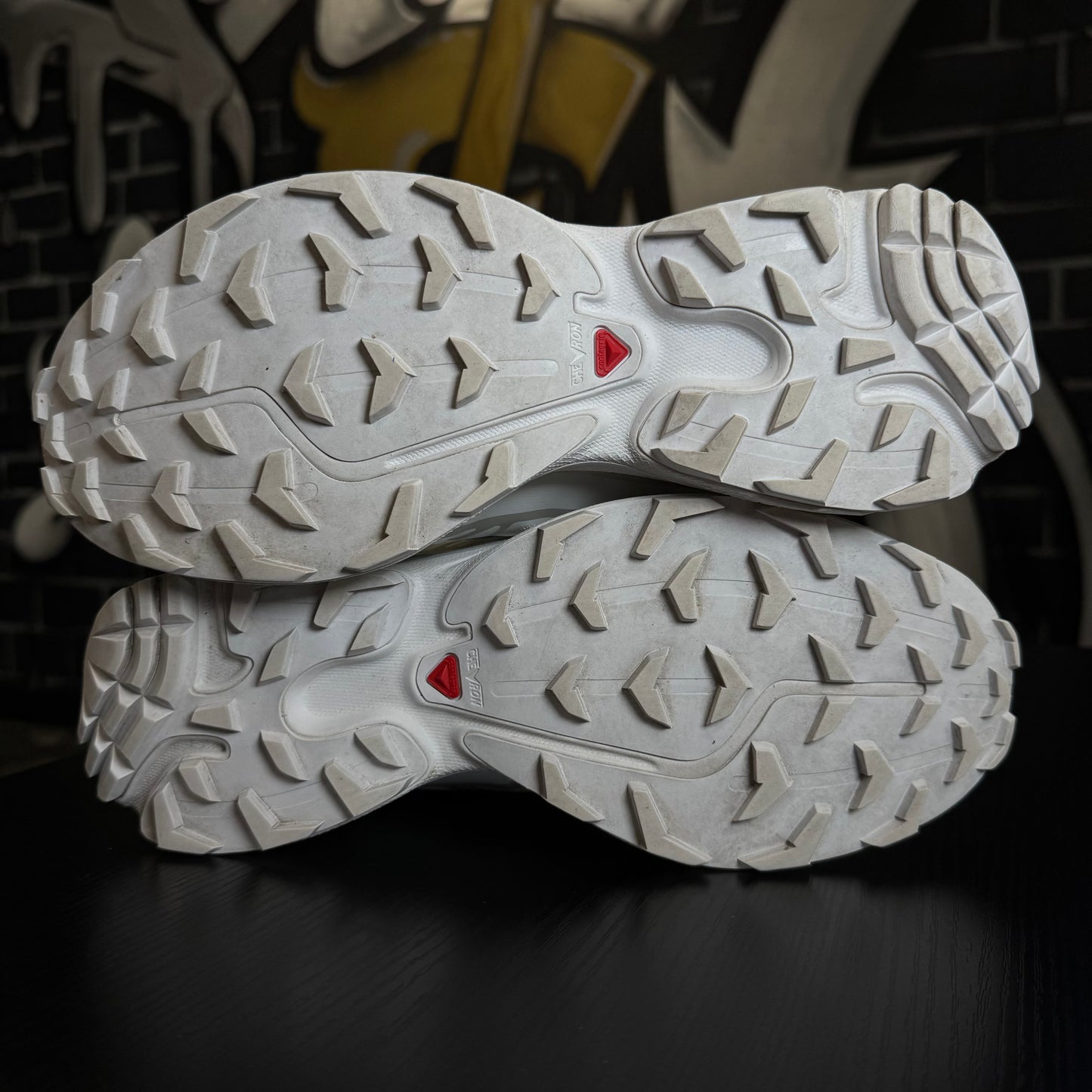 Salomon XT-6 White