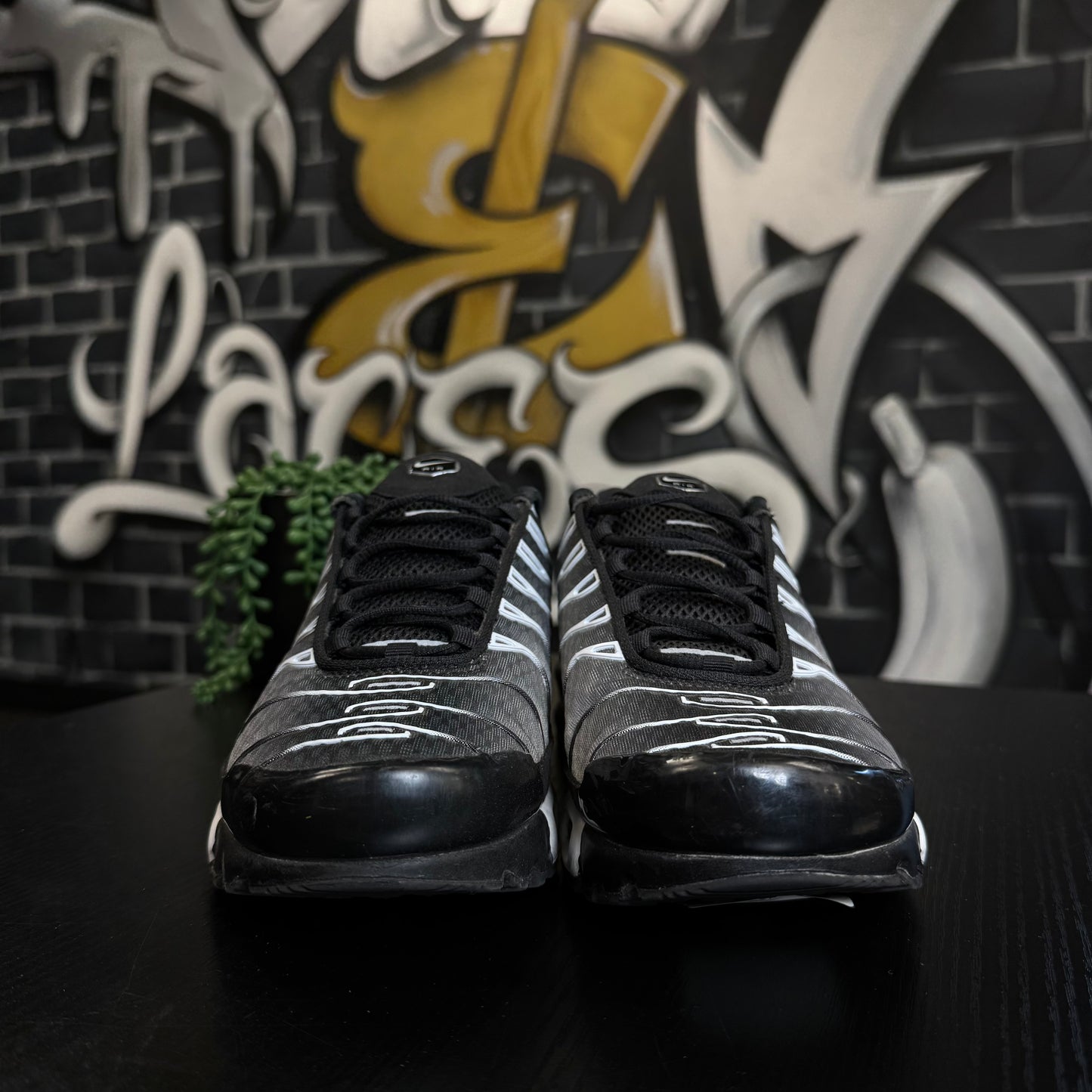 Nike Air Max Plus TN Silver