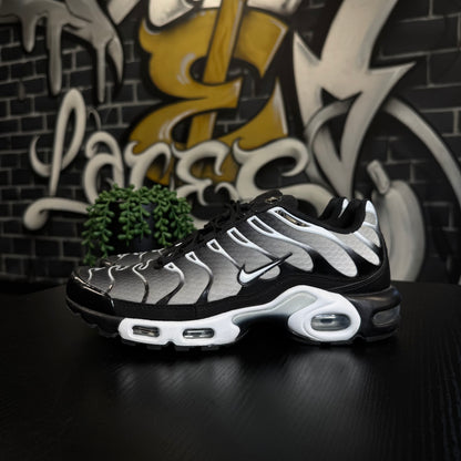 Nike Air Max Plus TN Silver