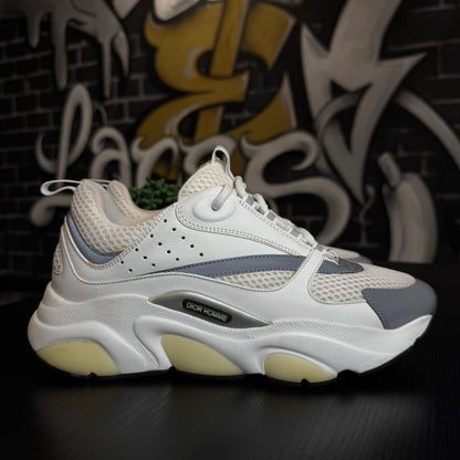Dior B22 White/Silver