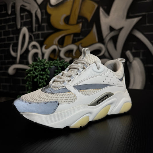 Dior B22 White/Silver