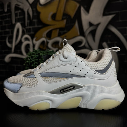 Dior B22 White/Silver
