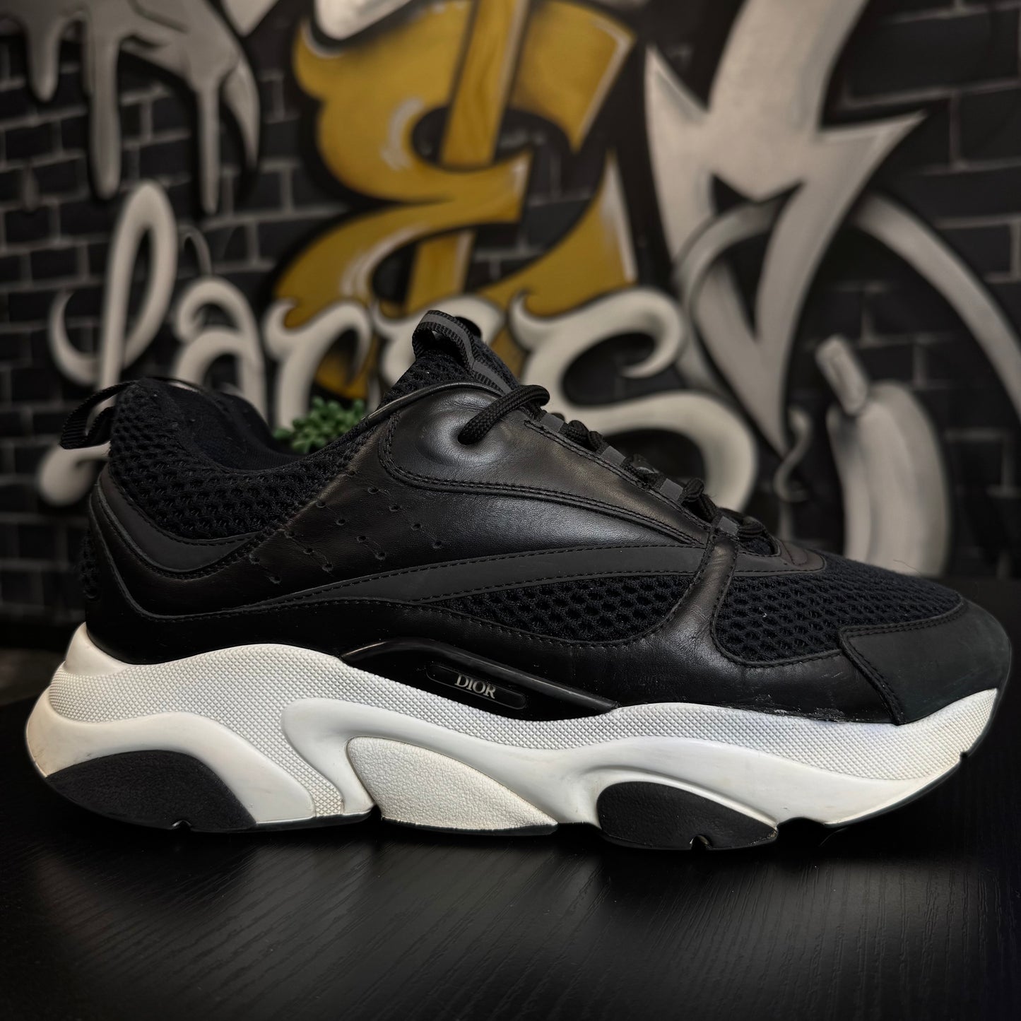 Dior B22 Black/White