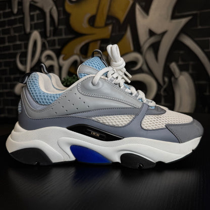 Dior B22 Grey/Blue
